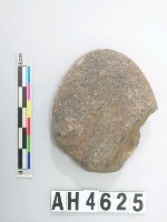 藏品(小砝碼型石網墜)的圖片